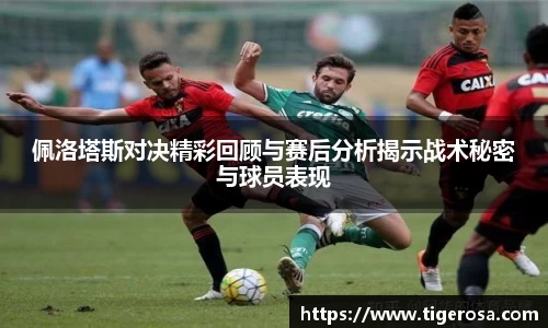 佩洛塔斯对决精彩回顾与赛后分析揭示战术秘密与球员表现
